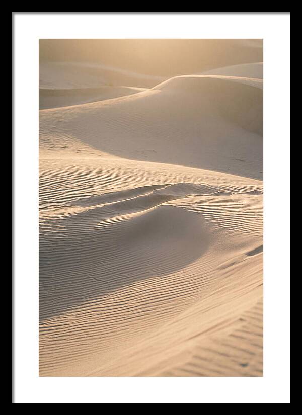 Dune Warmth At Indiana Dunes