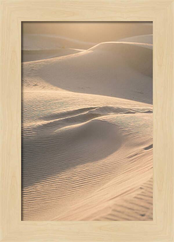 Dune Warmth At Indiana Dunes