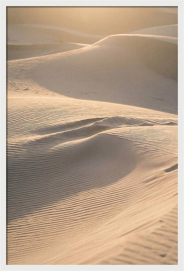 Dune Warmth At Indiana Dunes