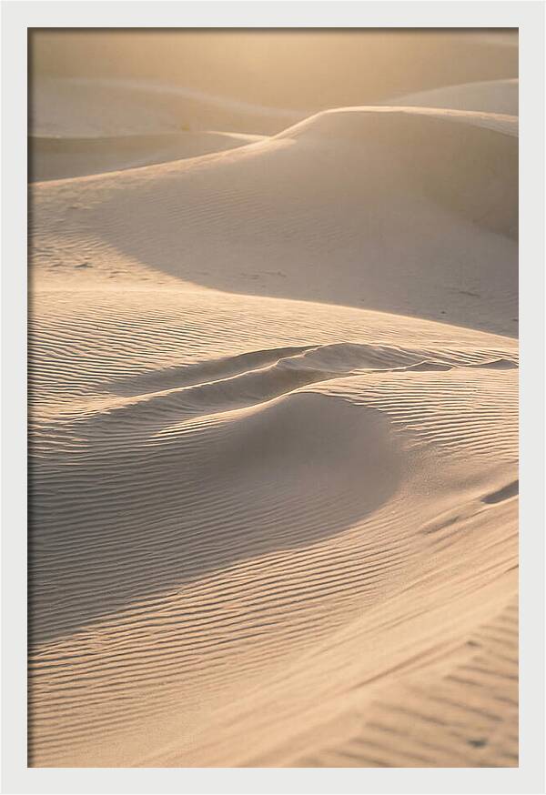 Dune Warmth At Indiana Dunes