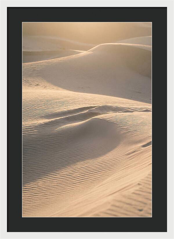 Dune Warmth At Indiana Dunes