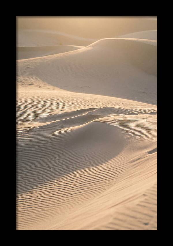 Dune Warmth At Indiana Dunes
