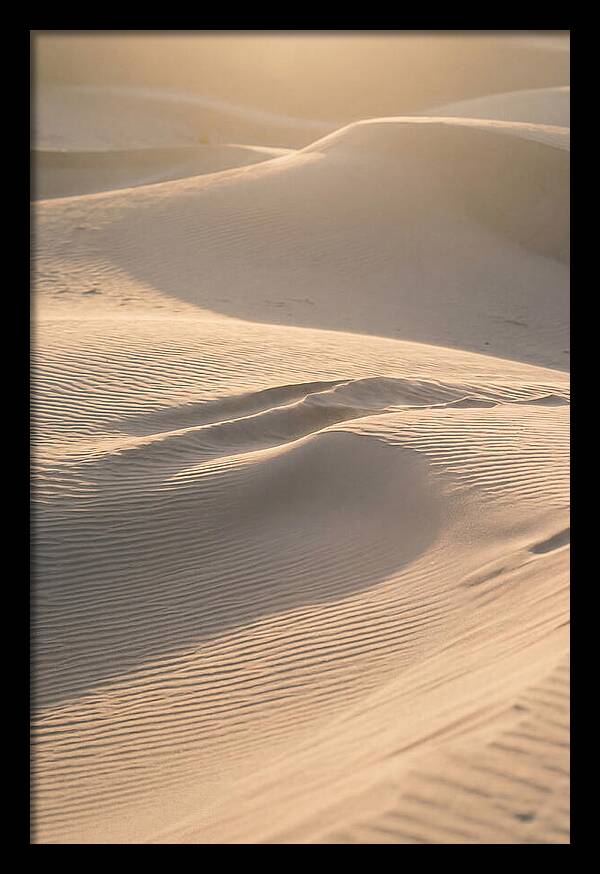 Dune Warmth At Indiana Dunes