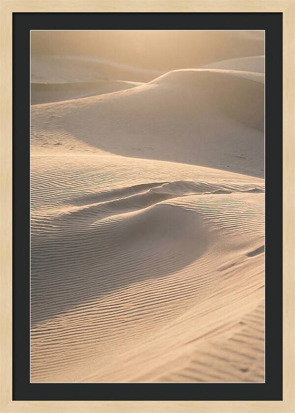Dune Warmth At Indiana Dunes