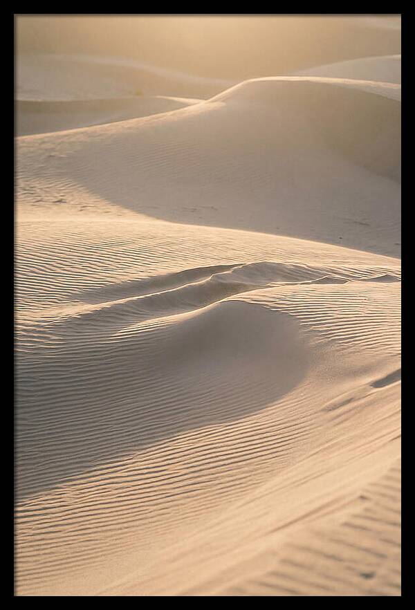 Dune Warmth At Indiana Dunes