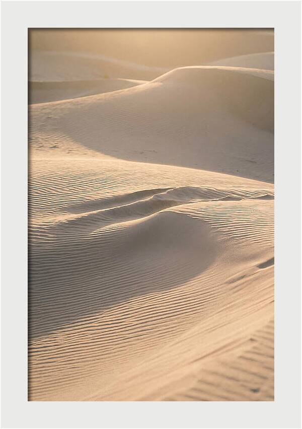 Dune Warmth At Indiana Dunes