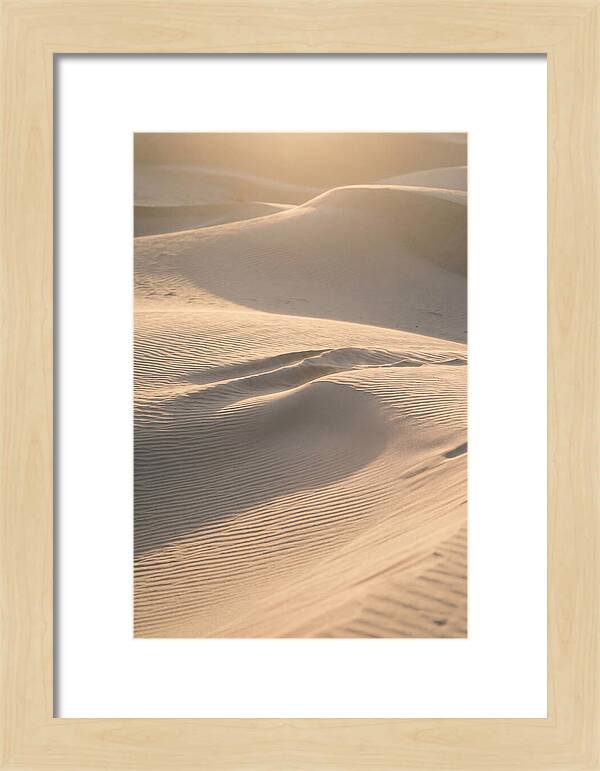 Dune Warmth At Indiana Dunes