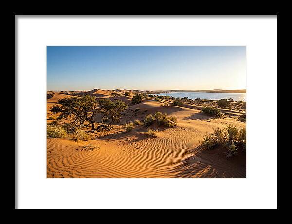 Dunes At Sunset