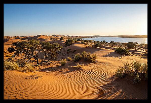 Dunes At Sunset