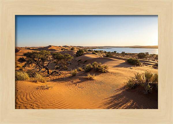 Dunes At Sunset