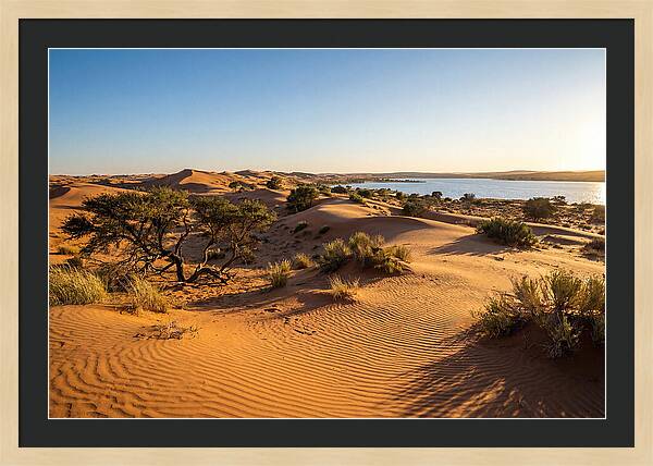 Dunes At Sunset