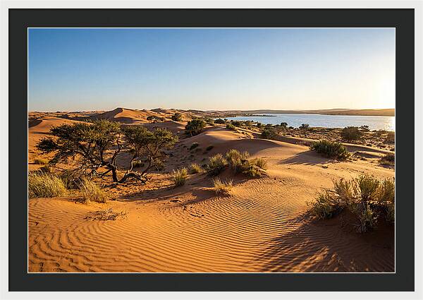 Dunes At Sunset