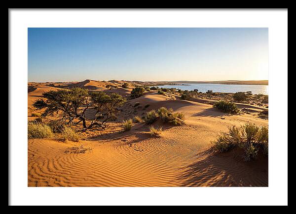 Dunes At Sunset