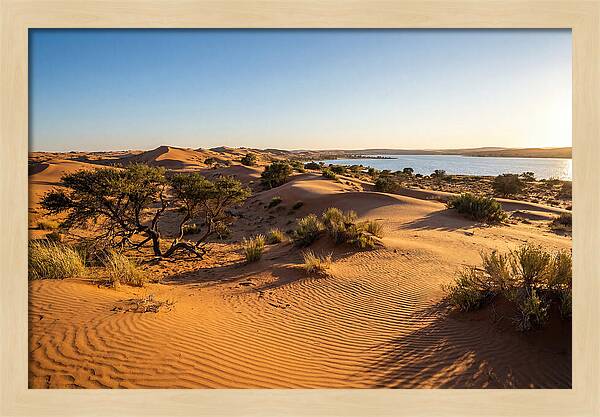 Dunes At Sunset