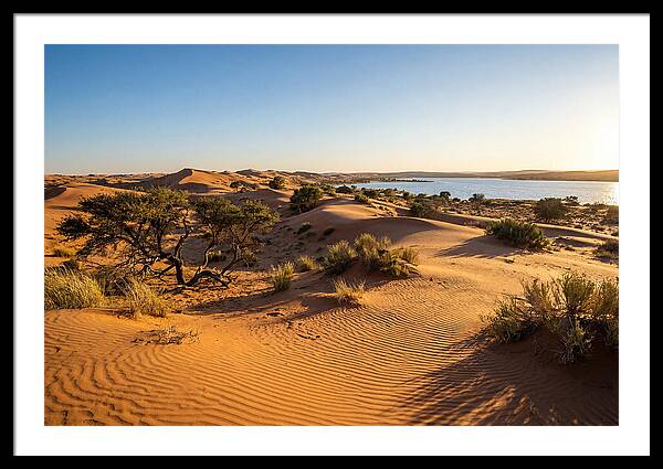 Dunes At Sunset