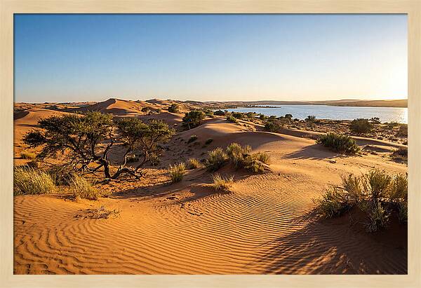 Dunes At Sunset
