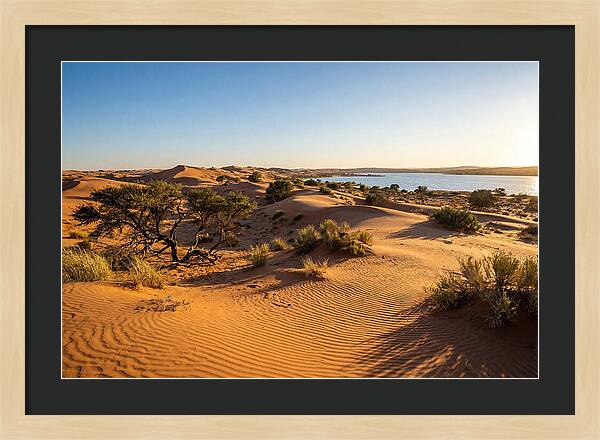 Dunes At Sunset