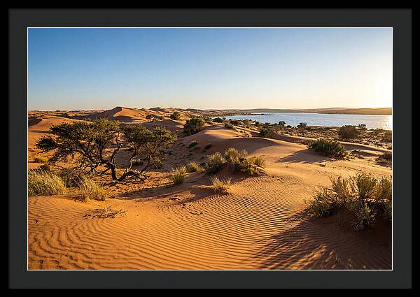 Dunes At Sunset