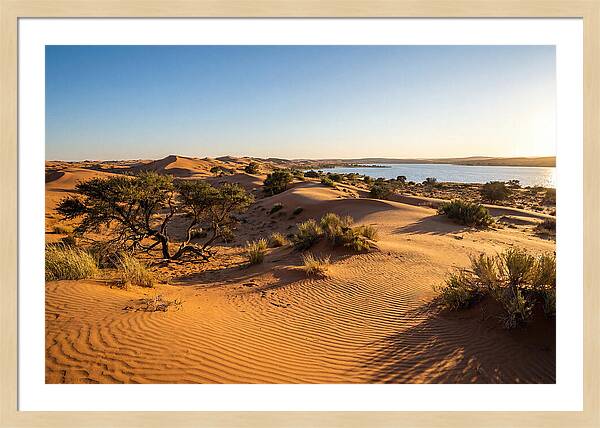 Dunes At Sunset