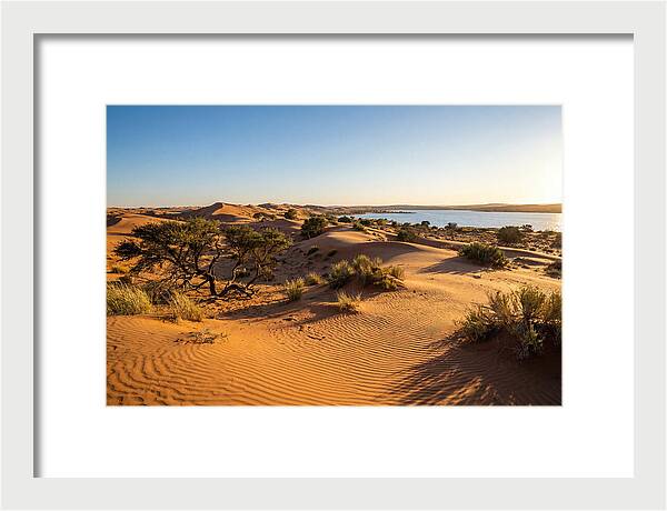 Dunes At Sunset