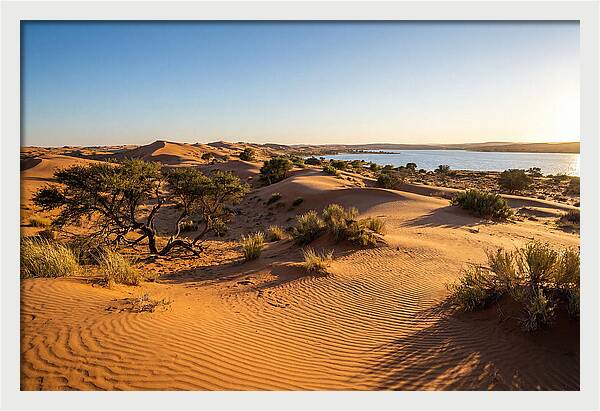 Dunes At Sunset