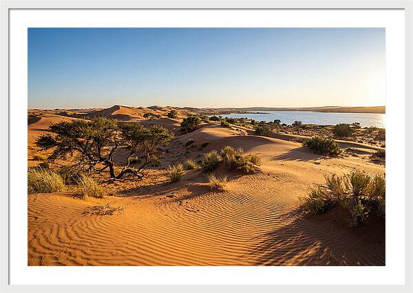 Dunes At Sunset