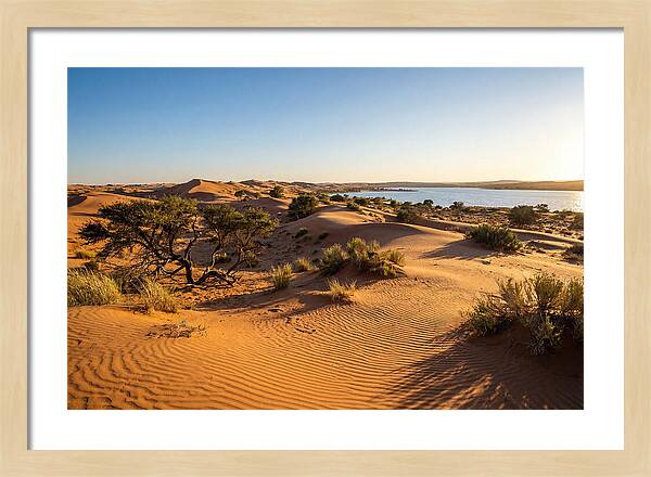 Dunes At Sunset