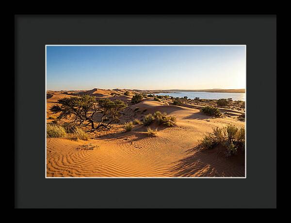 Dunes At Sunset