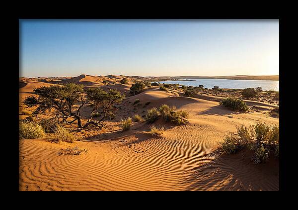 Dunes At Sunset
