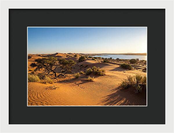 Dunes At Sunset