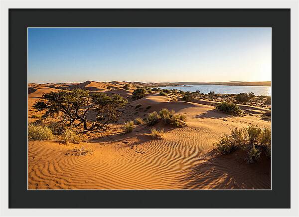 Dunes At Sunset