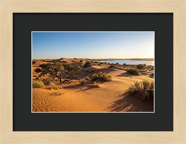 Dunes At Sunset