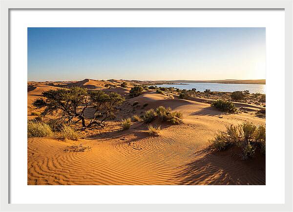 Dunes At Sunset