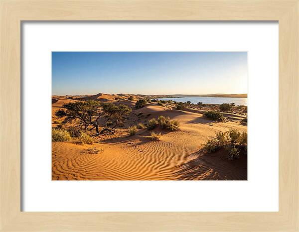 Dunes At Sunset