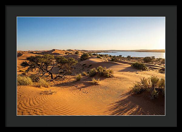 Dunes At Sunset
