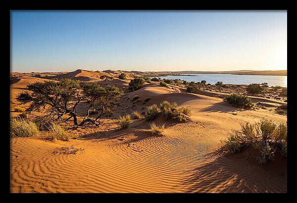 Dunes At Sunset