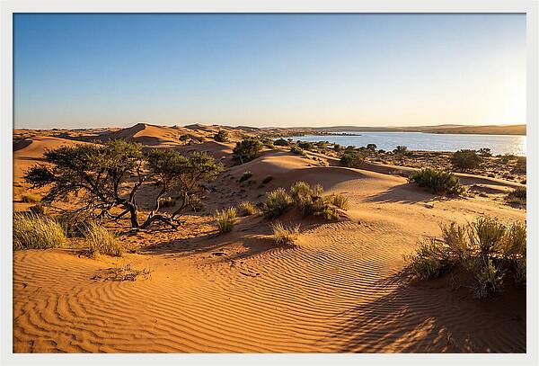 Dunes At Sunset