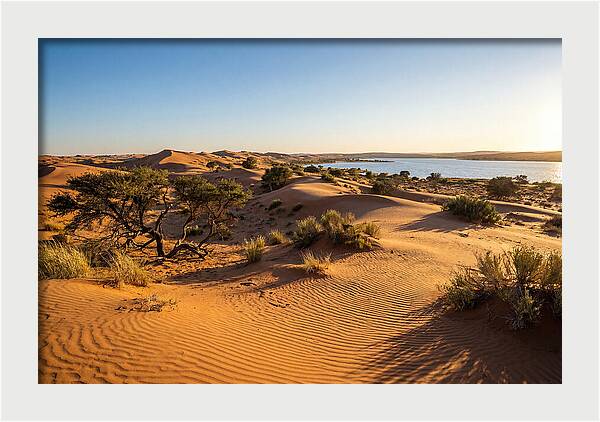 Dunes At Sunset
