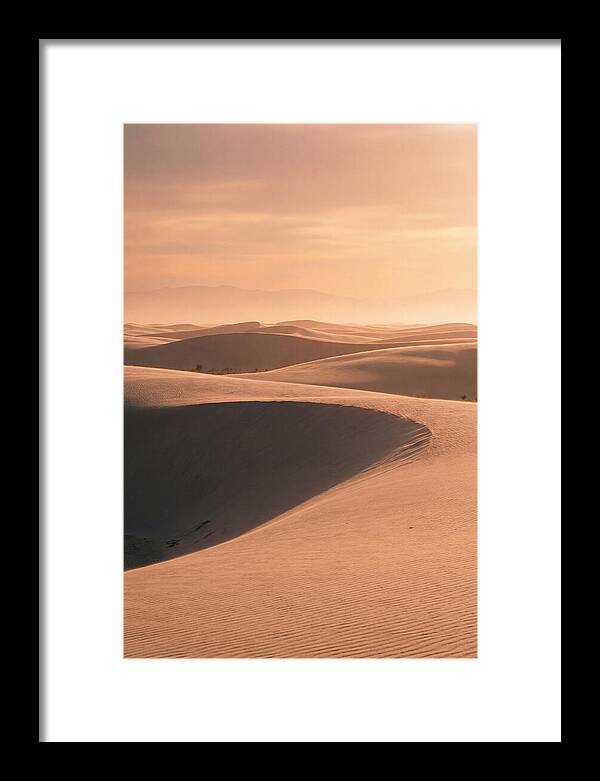 Dunes Bathed In Warm Light