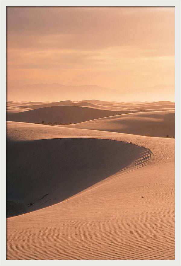 Dunes Bathed In Warm Light