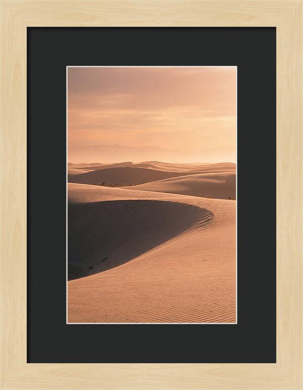 Dunes Bathed In Warm Light