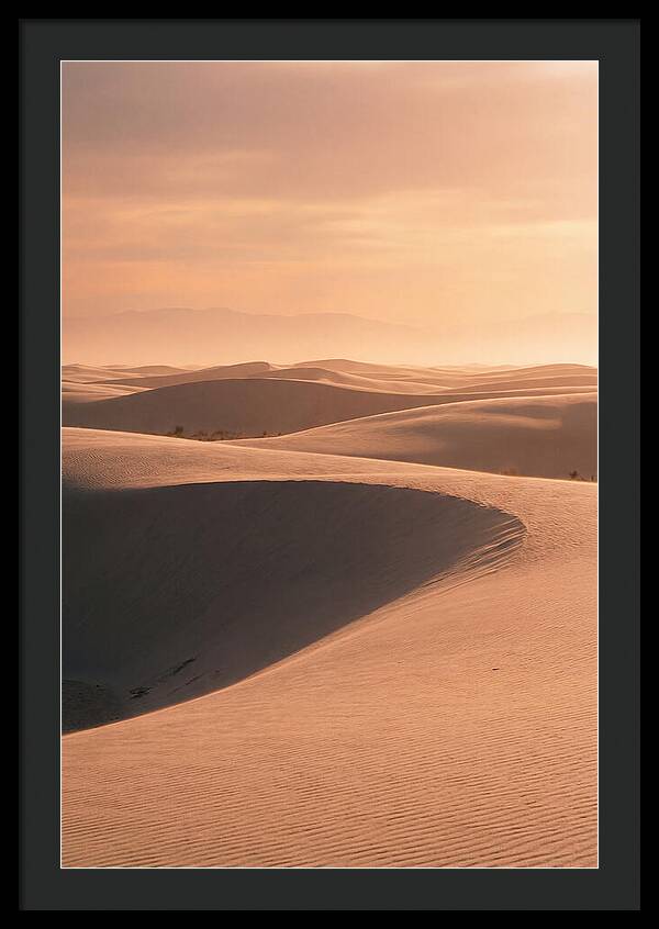 Dunes Bathed In Warm Light