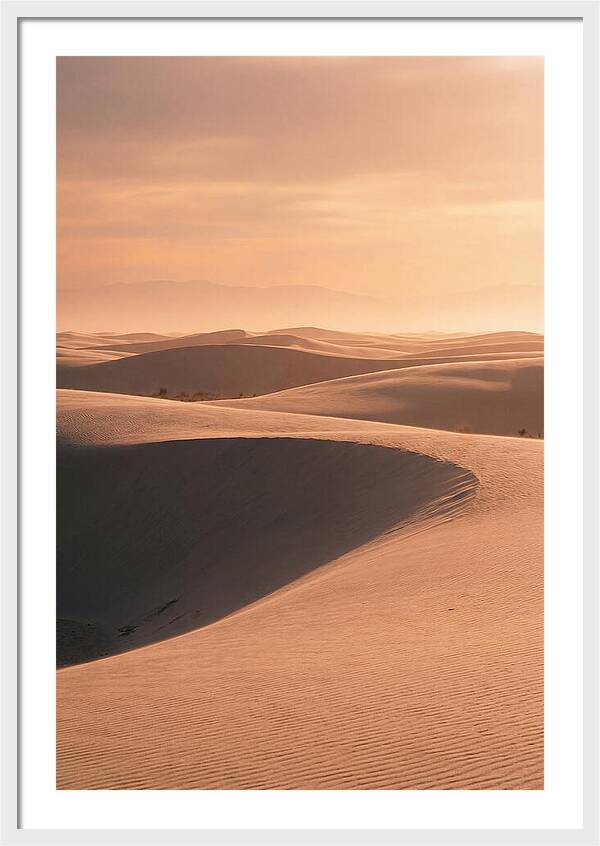 Dunes Bathed In Warm Light