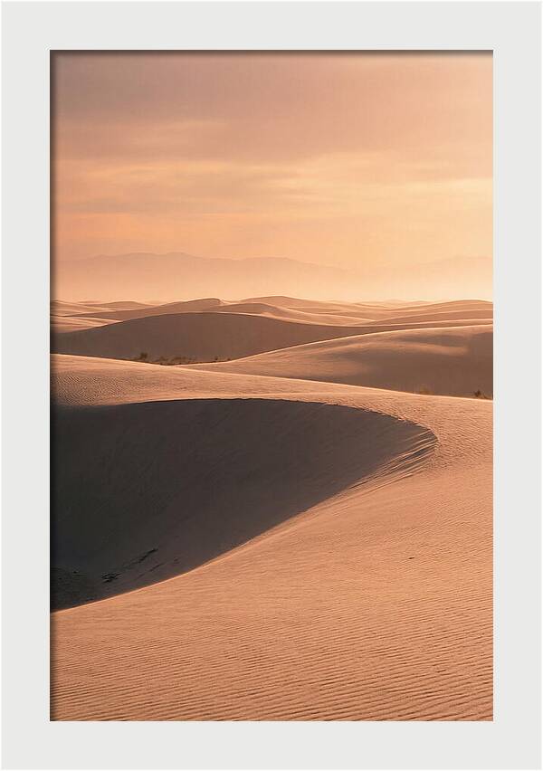 Dunes Bathed In Warm Light