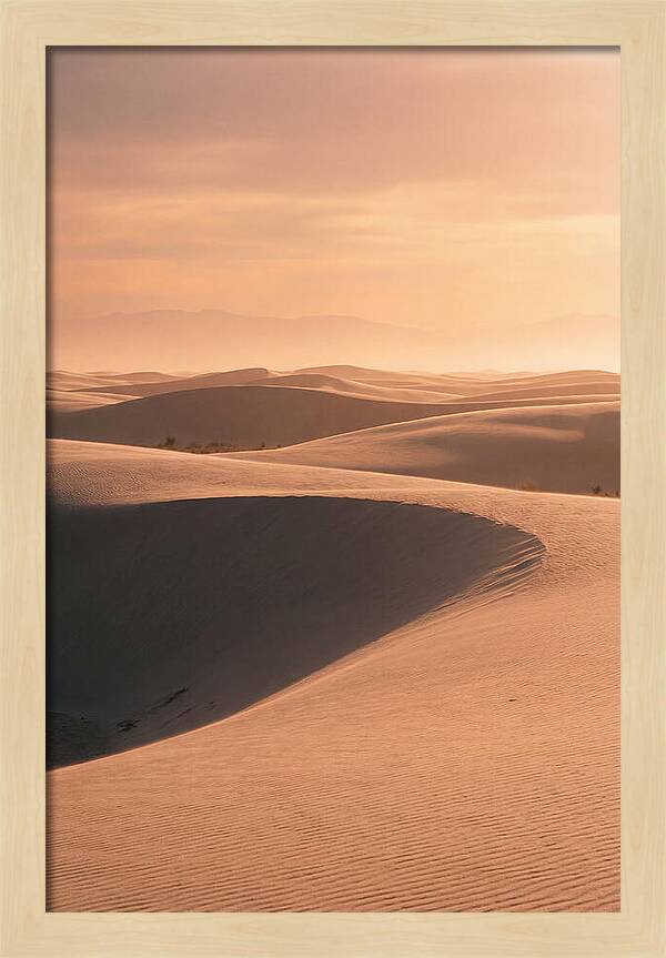 Dunes Bathed In Warm Light