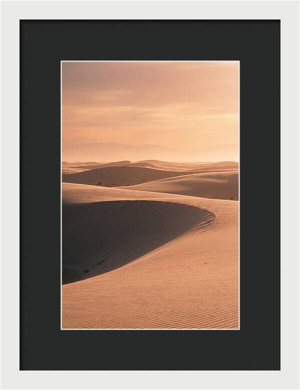 Dunes Bathed In Warm Light