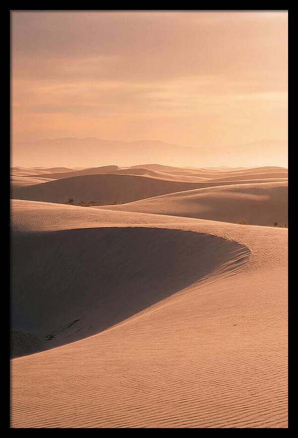 Dunes Bathed In Warm Light