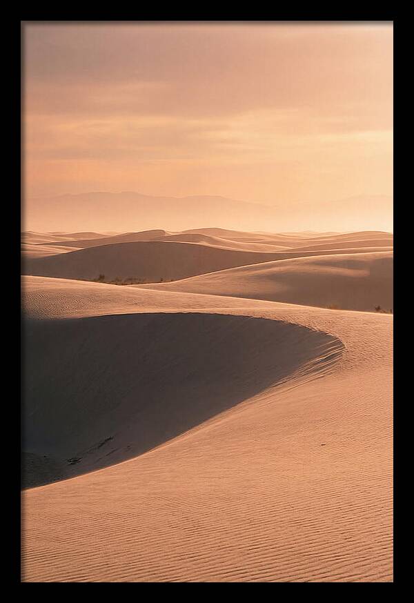 Dunes Bathed In Warm Light
