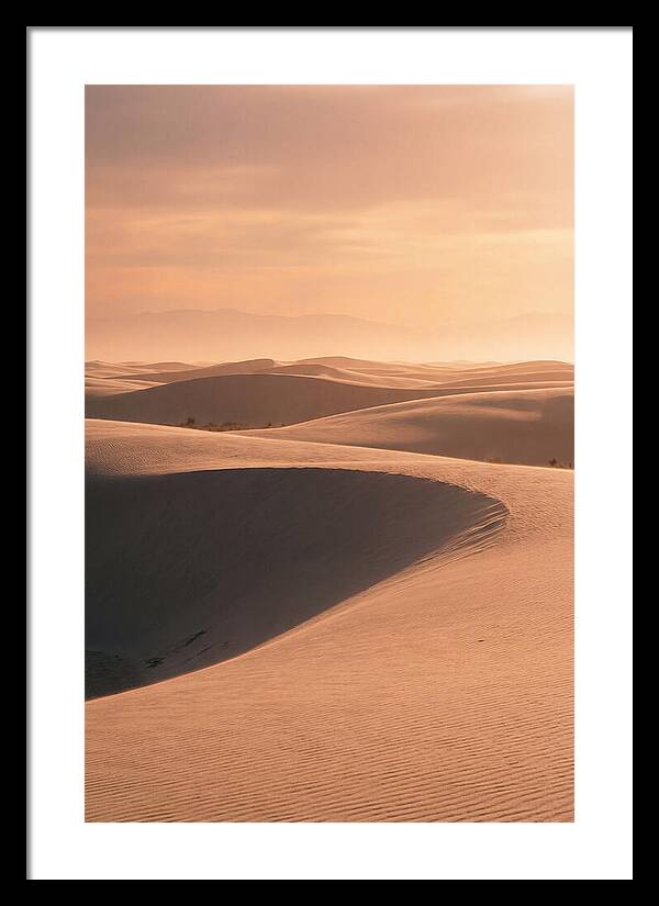 Dunes Bathed In Warm Light