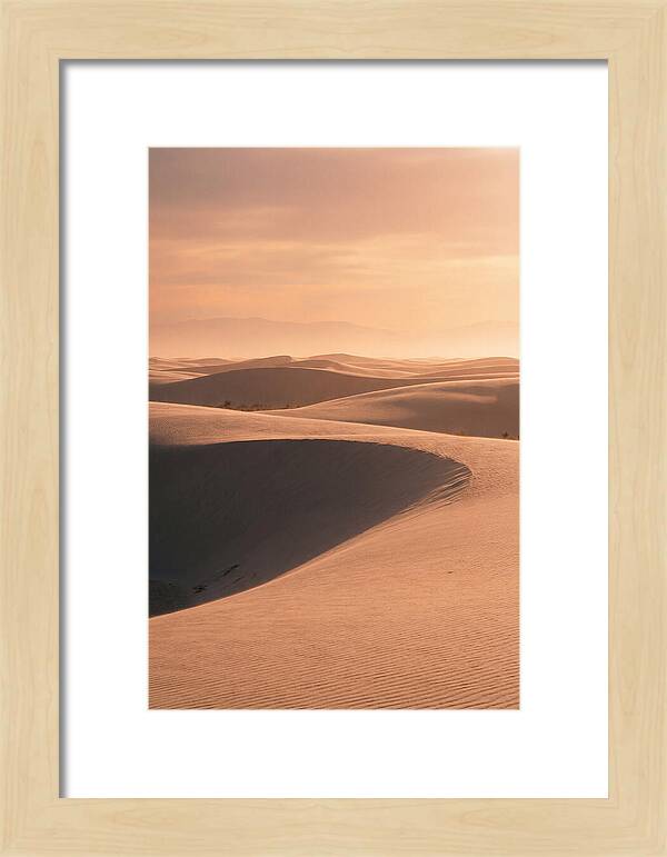 Dunes Bathed In Warm Light